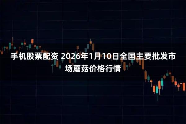 手机股票配资 2026年1月10日全国主要批发市场蘑菇价格行情