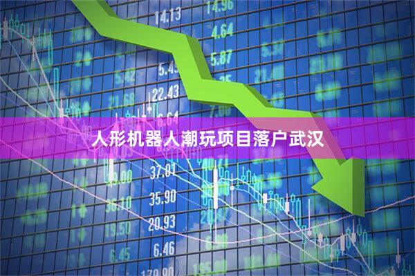 人形机器人潮玩项目落户武汉