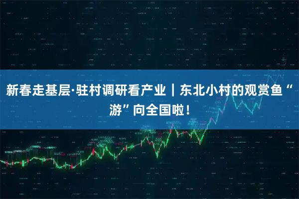 新春走基层·驻村调研看产业｜东北小村的观赏鱼“游”向全国啦！
