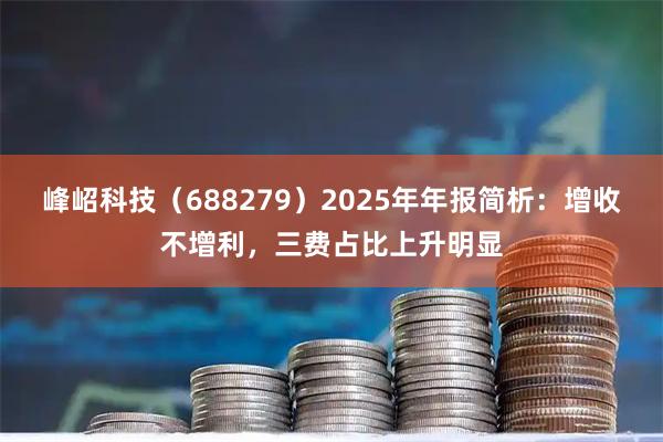 峰岹科技（688279）2025年年报简析：增收不增利，三费占比上升明显