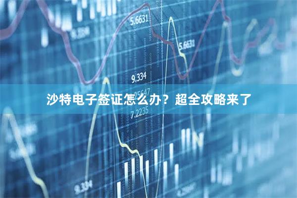 沙特电子签证怎么办？超全攻略来了