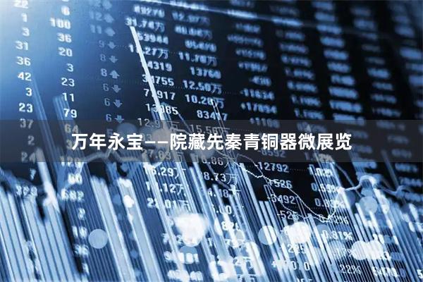 万年永宝——院藏先秦青铜器微展览