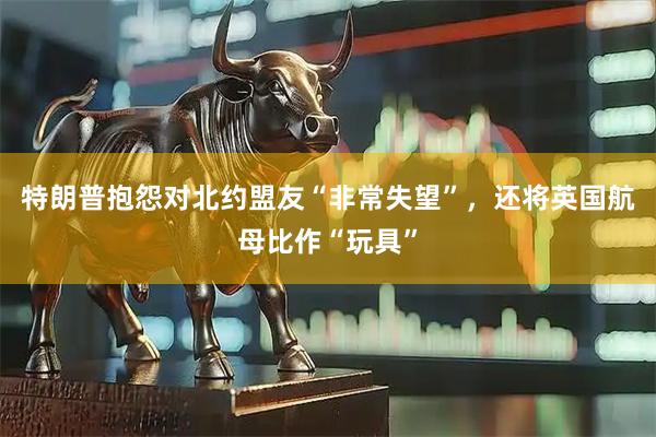特朗普抱怨对北约盟友“非常失望”，还将英国航母比作“玩具”
