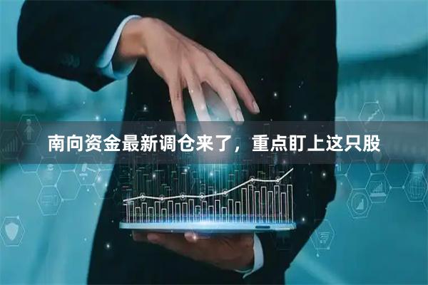 南向资金最新调仓来了，重点盯上这只股